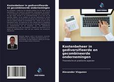 Bookcover of Kostenbeheer in gediversifieerde en gecombineerde ondernemingen