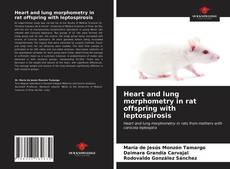 Capa do livro de Heart and lung morphometry in rat offspring with leptospirosis 