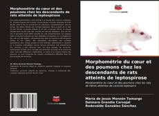 Capa do livro de Morphométrie du cœur et des poumons chez les descendants de rats atteints de leptospirose 