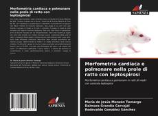 Copertina di Morfometria cardiaca e polmonare nella prole di ratto con leptospirosi