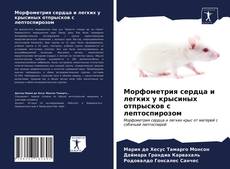 Bookcover of Морфометрия сердца и легких у крысиных отпрысков с лептоспирозом