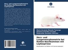 Herz- und Lungenmorphometrie bei Ratten-Nachkommen mit Leptospirose的封面