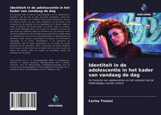 Identiteit in de adolescentie in het kader van vandaag de dag kitap kapağı