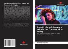 Capa do livro de Identity in adolescence within the framework of today 