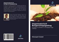 Organisatorisch Burgerschapsgedrag kitap kapağı