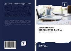 Директивы в аспирантуре L1 и L2 kitap kapağı