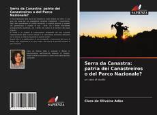 Portada del libro de Serra da Canastra: patria dei Canastreiros o del Parco Nazionale?