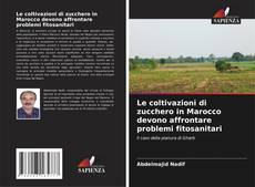 Copertina di Le coltivazioni di zucchero in Marocco devono affrontare problemi fitosanitari