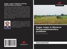 Bookcover of Sugar crops in Morocco facing phytosanitary problems