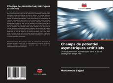 Champs de potentiel asymétriques artificiels kitap kapağı