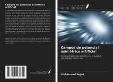 Bookcover of Campos de potencial asimétrico artificial