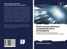 Portada del libro de Поля искусственного асимметричного потенциала