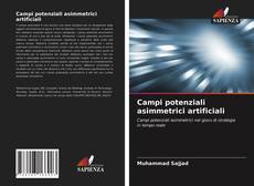 Campi potenziali asimmetrici artificiali kitap kapağı