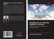 Współpraca w zakresie migracji w Afryce kitap kapağı