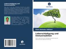 Copertina di Leberschädigung und Immunreaktion