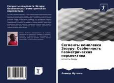Bookcover of Сегменты комплекса Зезуру: Особенность Геометрическая перспектива