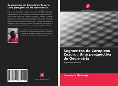 Segmentos do Complexo Zezuru: Uma perspectiva de Geometria的封面