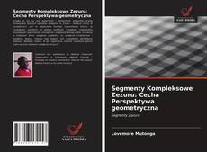 Buchcover von Segmenty Kompleksowe Zezuru: Cecha Perspektywa geometryczna