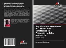 Bookcover of Segmenti del complesso di Zezuru: Una caratteristica Prospettiva della geometria