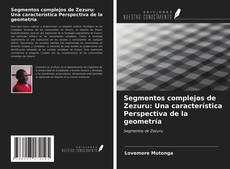 Portada del libro de Segmentos complejos de Zezuru: Una característica Perspectiva de la geometría