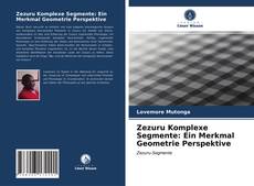 Portada del libro de Zezuru Komplexe Segmente: Ein Merkmal Geometrie Perspektive