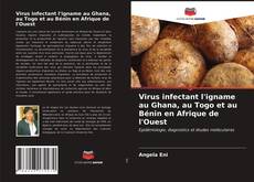 Bookcover of Virus infectant l'igname au Ghana, au Togo et au Bénin en Afrique de l'Ouest