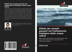 Effetti dei metalli pesanti sul trattamento biologico delle acque reflue kitap kapağı