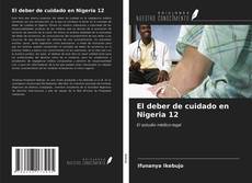 El deber de cuidado en Nigeria 12 kitap kapağı