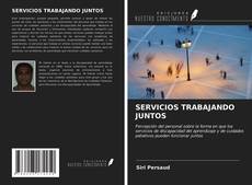 Обложка SERVICIOS TRABAJANDO JUNTOS