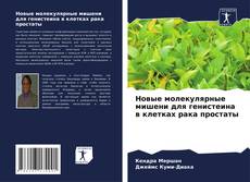 Bookcover of Новые молекулярные мишени для генистеина в клетках рака простаты