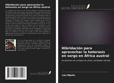 Bookcover of Hibridación para aprovechar la heterosis en sorgo en África austral