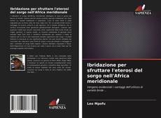 Bookcover of Ibridazione per sfruttare l'eterosi del sorgo nell'Africa meridionale