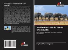 Ambiente: cosa lo rende una novità?的封面