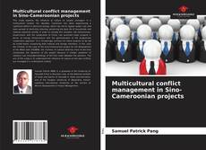 Portada del libro de Multicultural conflict management in Sino-Cameroonian projects