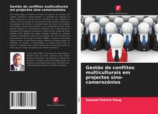 Buchcover von Gestão de conflitos multiculturais em projectos sino-camerozónios