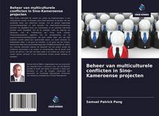 Bookcover of Beheer van multiculturele conflicten in Sino-Kameroense projecten