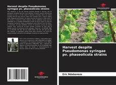 Portada del libro de Harvest despite Pseudomonas syringae pv. phaseolicola strains