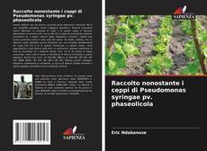 Capa do livro de Raccolto nonostante i ceppi di Pseudomonas syringae pv. phaseolicola 