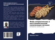 Capa do livro de Фойе аппрентисажа и восстановительной канализации питания 