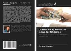 Canales de ajuste en los mercados laborales kitap kapağı