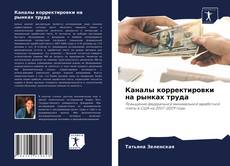 Каналы корректировки на рынках труда kitap kapağı