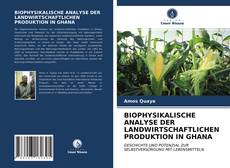 BIOPHYSIKALISCHE ANALYSE DER LANDWIRTSCHAFTLICHEN PRODUKTION IN GHANA kitap kapağı