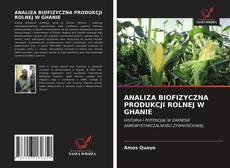 Borítókép a  ANALIZA BIOFIZYCZNA PRODUKCJI ROLNEJ W GHANIE - hoz