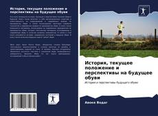 Portada del libro de История, текущее положение и перспективы на будущее обуви