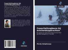 Bookcover of Capaciteitsopbouw bij overheidsopdrachten