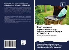 Виртуальное университетское образование в Перу и КОВИД-19的封面