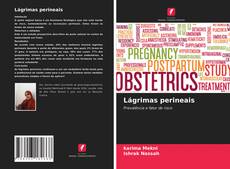 Buchcover von Lágrimas perineais