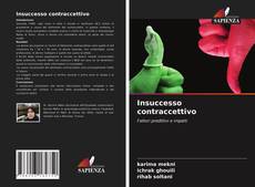 Insuccesso contraccettivo kitap kapağı