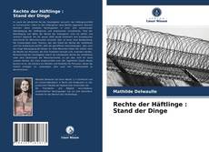 Rechte der Häftlinge : Stand der Dinge kitap kapağı