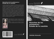 Buchcover von Derechos de los prisioneros : Estado de la cuestión